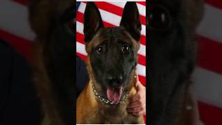 Greater Cincinnati mourns beloved K‑9