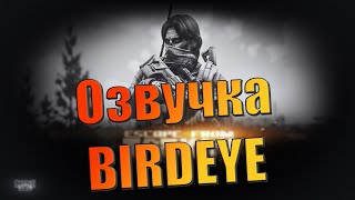 EFT | ПОЛНАЯ ОЗВУЧКА BIRDEYE