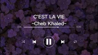 [1 hour] CHEB KHALED - C'EST LA VIE