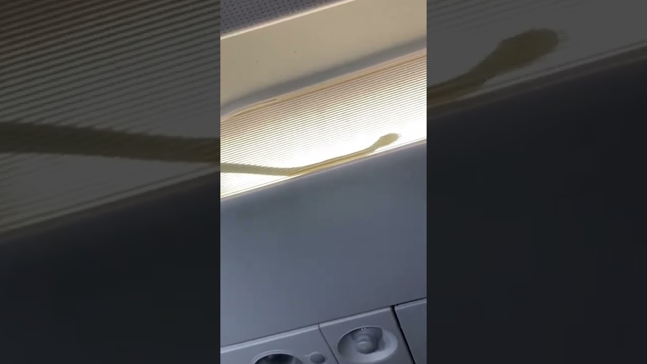 Snake onboard on "Now everyone can fly" - .