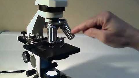 Microscope Objective lens
