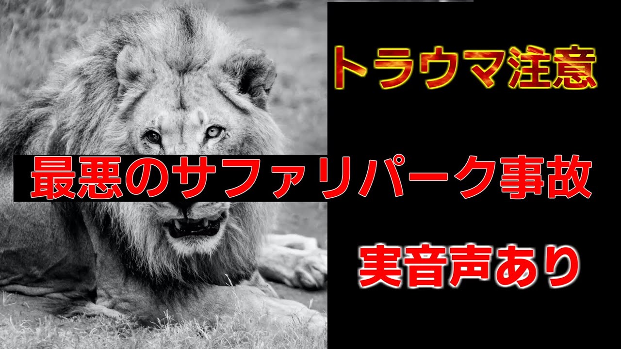 那須サファリパーク事故の原因は扉の故障か 飼育員は誰で現在の容態とは 気になるっとブログ