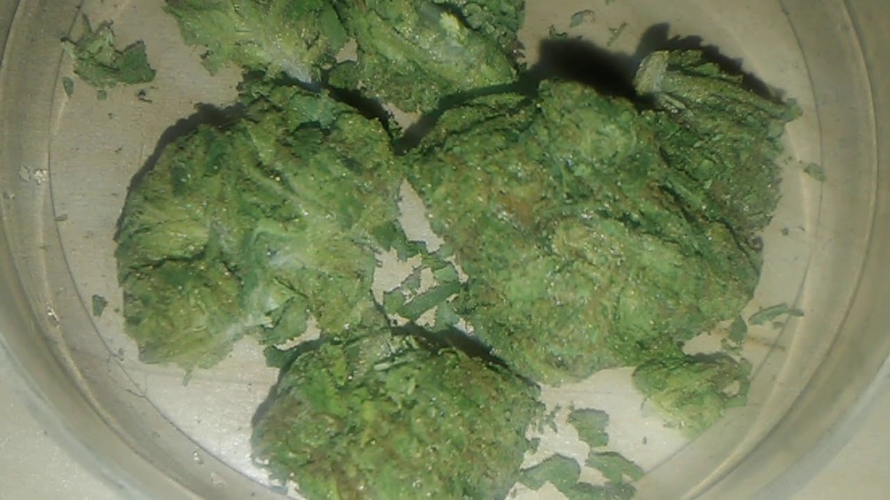 Purple Panty Dropper Review 👾💥💥