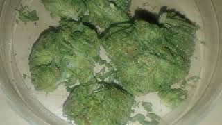 Purple Panty Dropper Review 👾💥💥