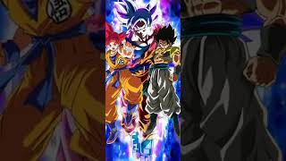 Goku vs Gogeta