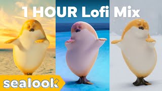 Lo-fi Seal (1 Hour Loop)ㅣSEALOOKㅣRelaxing Music