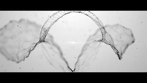 Particles Titles | After Effects template