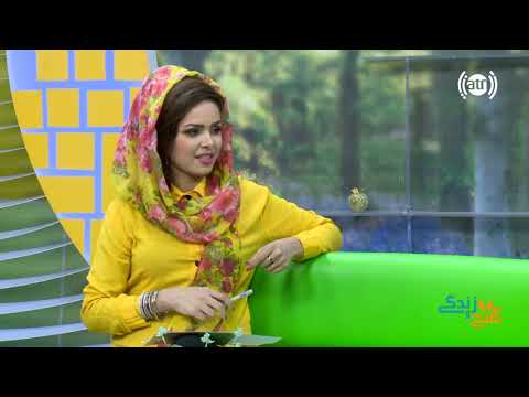 صبح و زندگی صحبت ها با داکتر سمیع رحیمی مسؤل پروژه های صحی بنیاد بیات