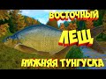 русская рыбалка 4 - Лещ Восточный река Нижняя Тунгуска - рр4 фарм Алексей Майоров russian fishing 4