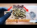 Родий где найти?Примеры и обзор рэле!#родий #золото