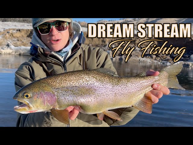 THE DREAM STREAM - Winter Fly Fishing Colorado for LARGE TROUT using TINY  FLIES 