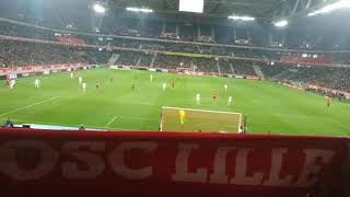 Losc-OM DVE