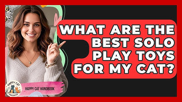 What Are The Best Solo Play Toys For My Cat? - Happy Cat Handbook