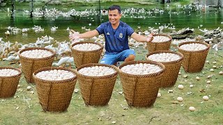 Harvesting Ducks Eggs! Creative Methods for Building Pond Dykes & Raising Ducks on a Freerange Farm