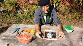 Building an Opus Pixellatum mosaic