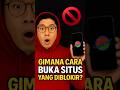 Gimana Cara Buka Situs yang Diblokir? 🤔 Cepat & Aman!