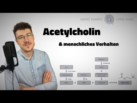 Acetyl-Cholin & menschliches Verhalten | Neurotransmitter | Biosynthese | Aminosäuren