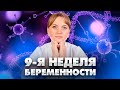 9 недель беременности. Акушер-гинеколог.