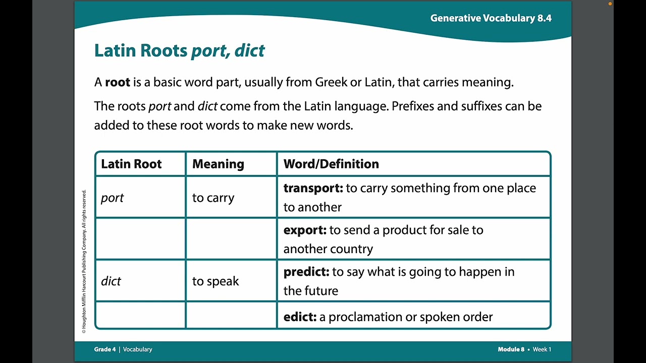 Digging Up the Latin Roots of 14 Abbreviations