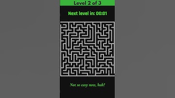 Maze Brain Game: Can You Solve All 3 Puzzles in 24s? 🧩