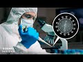 Understanding the Origins of SARS-CoV-2