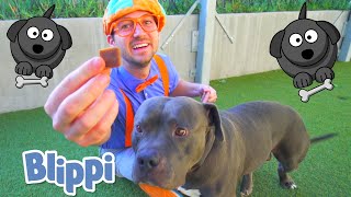 Blippi Visits an Animal Shelter! | Learn Animals for Kids | Educational Videos For Toddlers