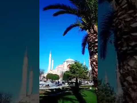 Turli xil mavzu va munosabatlar(30)