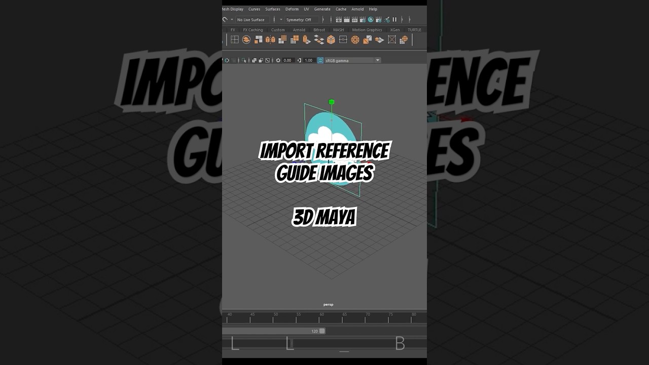 How to import Guide images into 3d maya. Image Plane 