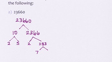 4.2 Prime and Composite Number (part 1)