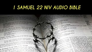 1 SAMUEL 22 NIV AUDIO BIBLE (with text)
