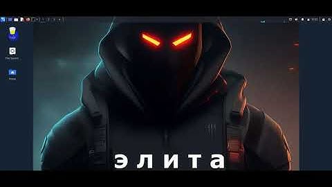 How to update Burpsuite Community Edition in Kali Linux