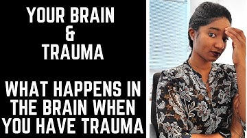 Your Brain & Trauma: What Happens To The Brain-Psychotherapy Crash Course