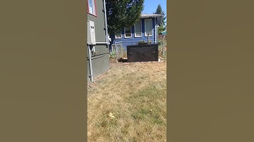 Generac Guardian 18 kW Standby Home Generator in Zombie Box