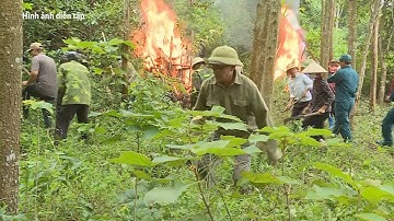 Yên Đồng chủ động phòng, chống cháy rừng mùa hanh khô