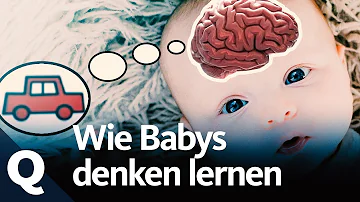 Kann ein 3 Monate altes Baby schon Fremdeln?