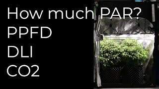 Best PAR intensity for plants | PPFD | DLI | CO2