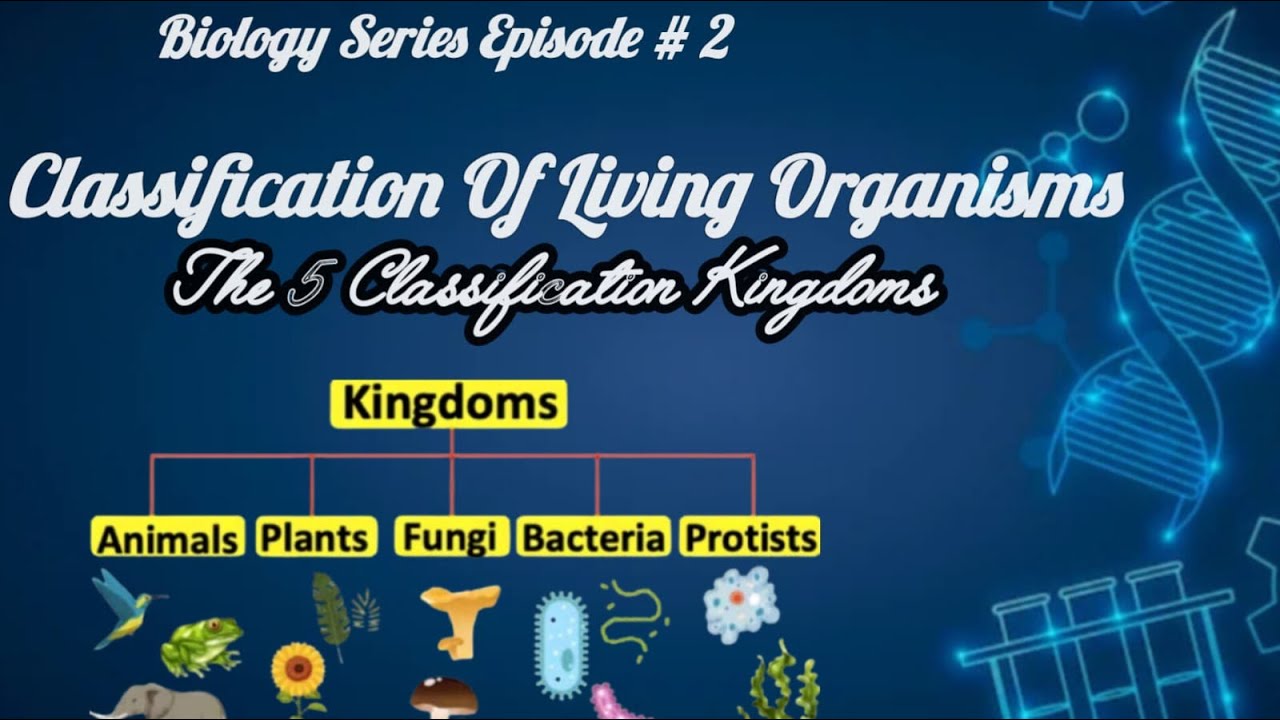 Biology Series | Ep 2: Classification of Living Organisms – The Five ...