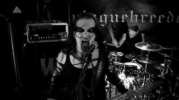 Plaguebreeder - The Root of Extinction (Official Music Video)