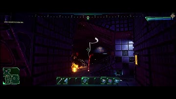 System Shock Trainer Cheats +8 Mods (Game Speed ,Edit: HP/Stamina/Items/Ammo & More.)