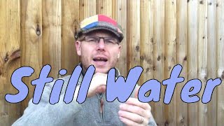 Why and When to have Still Water in a Pond or Water Feature