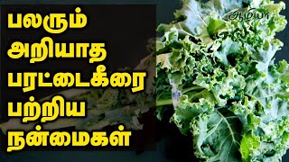 பரடடக கரயல உளள மரததவ கணஙகள Kale In Tamil Parattai Keerai Aazhiya