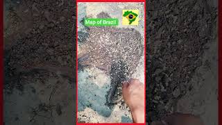 map of Brazil with seed art,#seed #shorts