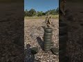 Arma Reforger: Stack of landmines #armareforger  #militarysimulation #allahakbar