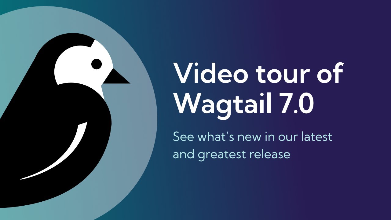 Thumbnail for video: Video Tour of Wagtail 7.0
