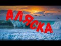 Dj Polkovnik-Аляска🎵Музыка в стиле 90-х🔥Не спокойная электронная музыка с сочными басами. Techno🔝