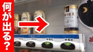 空っぽの自販機に入金したら予想外のものが出てきた。