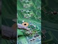 Laptop repair training Chip level #laptoprepair #laptop #motherboard #viral