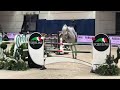 FEI Weltcup Verona 2018: Chardonnay 79 & Max Kühner (AUT/T)