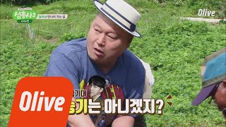 island trio2 강호동 설레발, '설마 달타냥 승기 아니겠지..?' 180702 EP.2