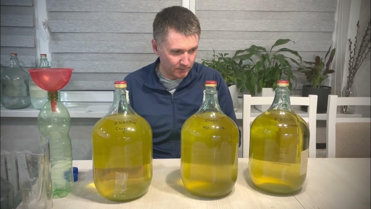 Как осветлить сидр. Как самодельный яблочный сидр заправлять в кеги?.